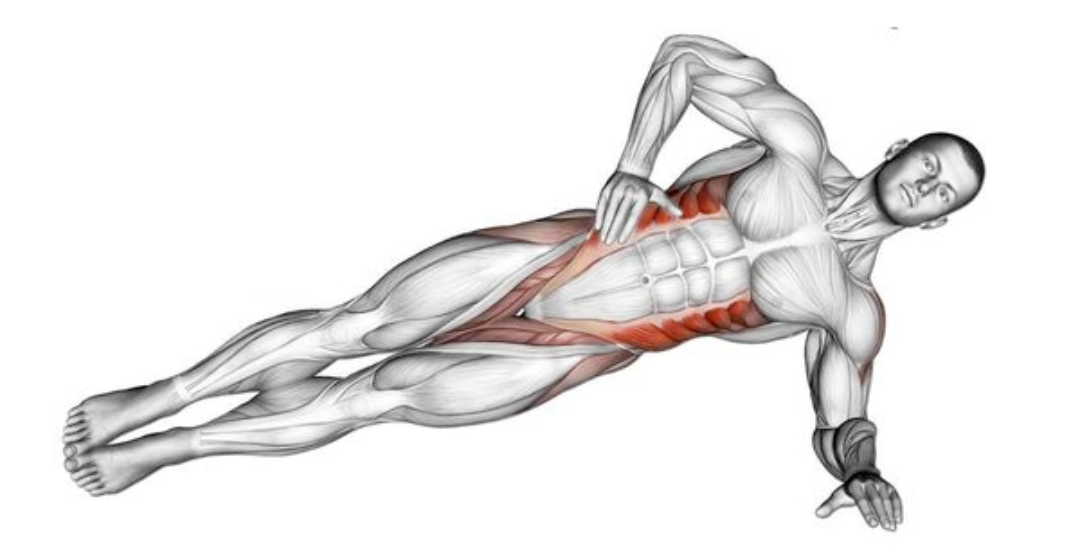 SIDE PLANK